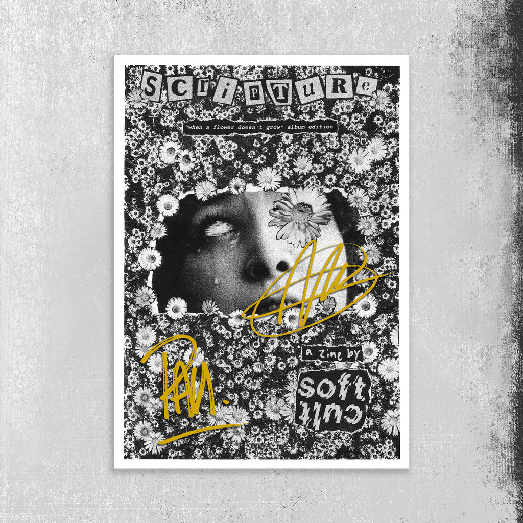 Softcult - When A Flower Doesn't Grow (Black/Grey LP) + Zine (Signed)